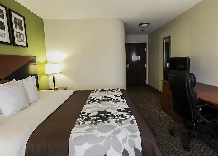 Spark By Hilton Hotel Killeen