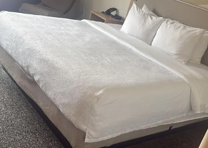 Hotel Spark By Hilton 3*